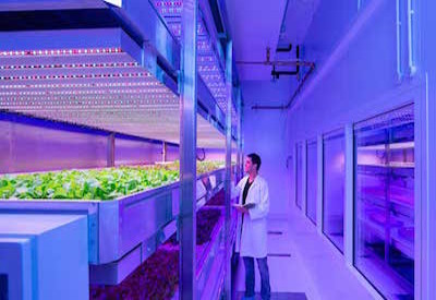 LED Horticulture Thumbnail