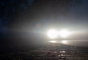 Bright Lights foggy 125x86
