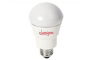 eLumigen Introduces A19 Rough Service LED Lamps