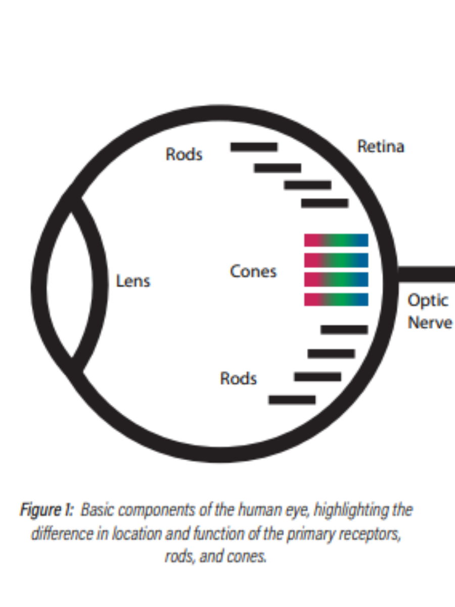 Best Lighting for OR Figure 1