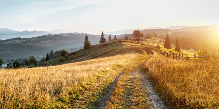 Bright Days and Dark Nights for Parkinson’s Disease Patients