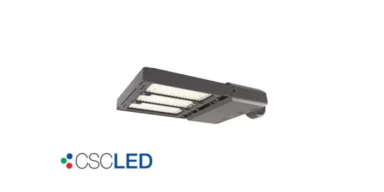 Power and Color Selectable Flood Light from CSC LED