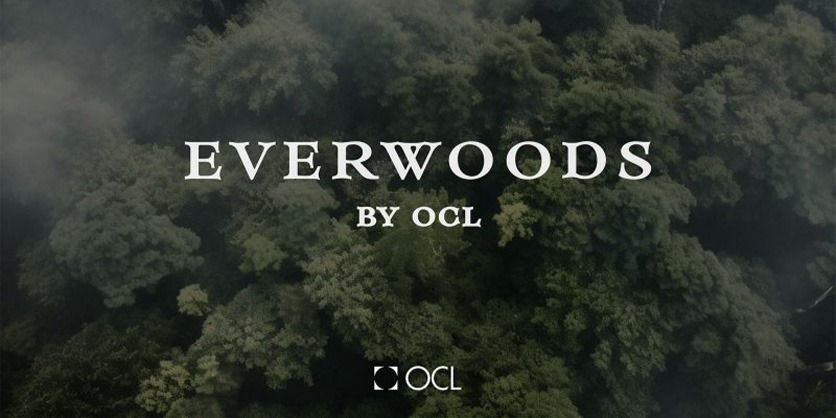 Everwoods: A Lasting Natural Aesthetic from OCL