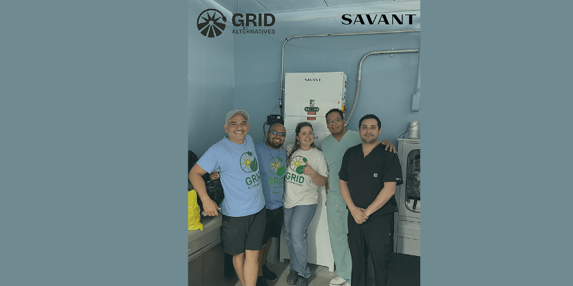 savant puerto rico 800