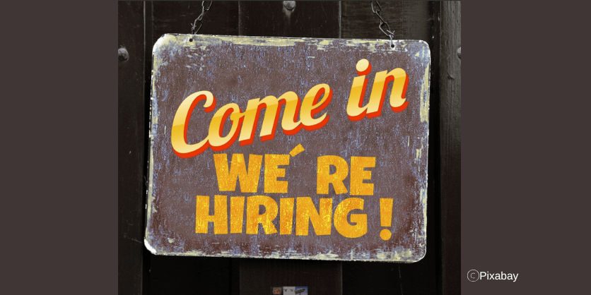 david shiller article 800