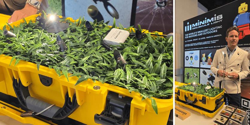 leducation minimis 800