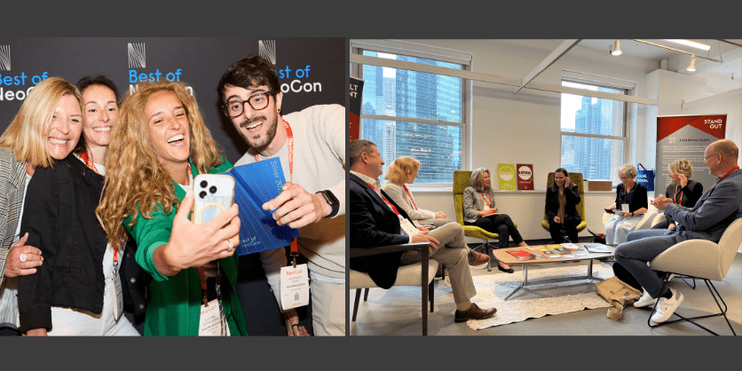 neocon interior of story 800