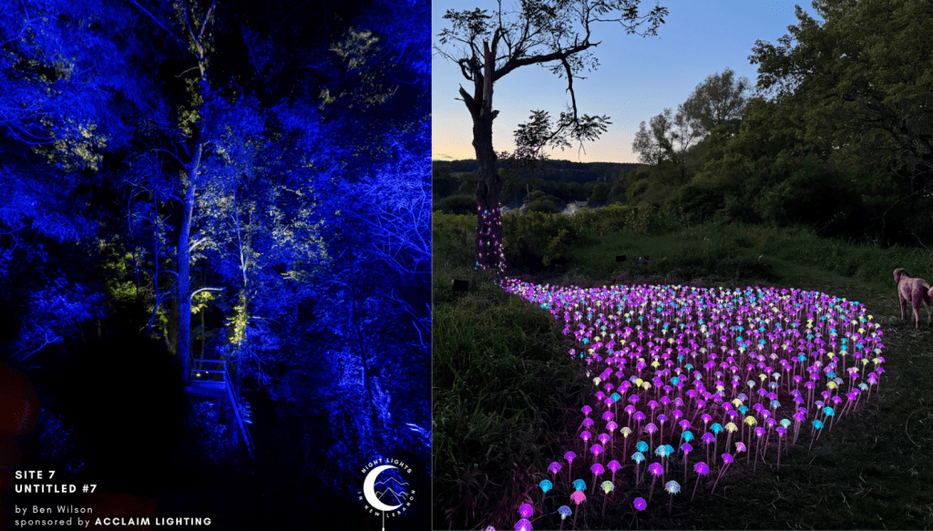 Free Lighting Festival in NY on Labor Day Weekend night lights examples 2 1580