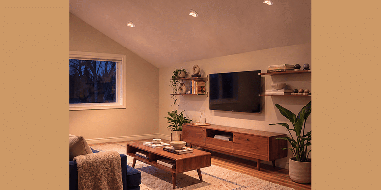 liteline orbit multi downlight